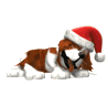 cane natalizio che dorme